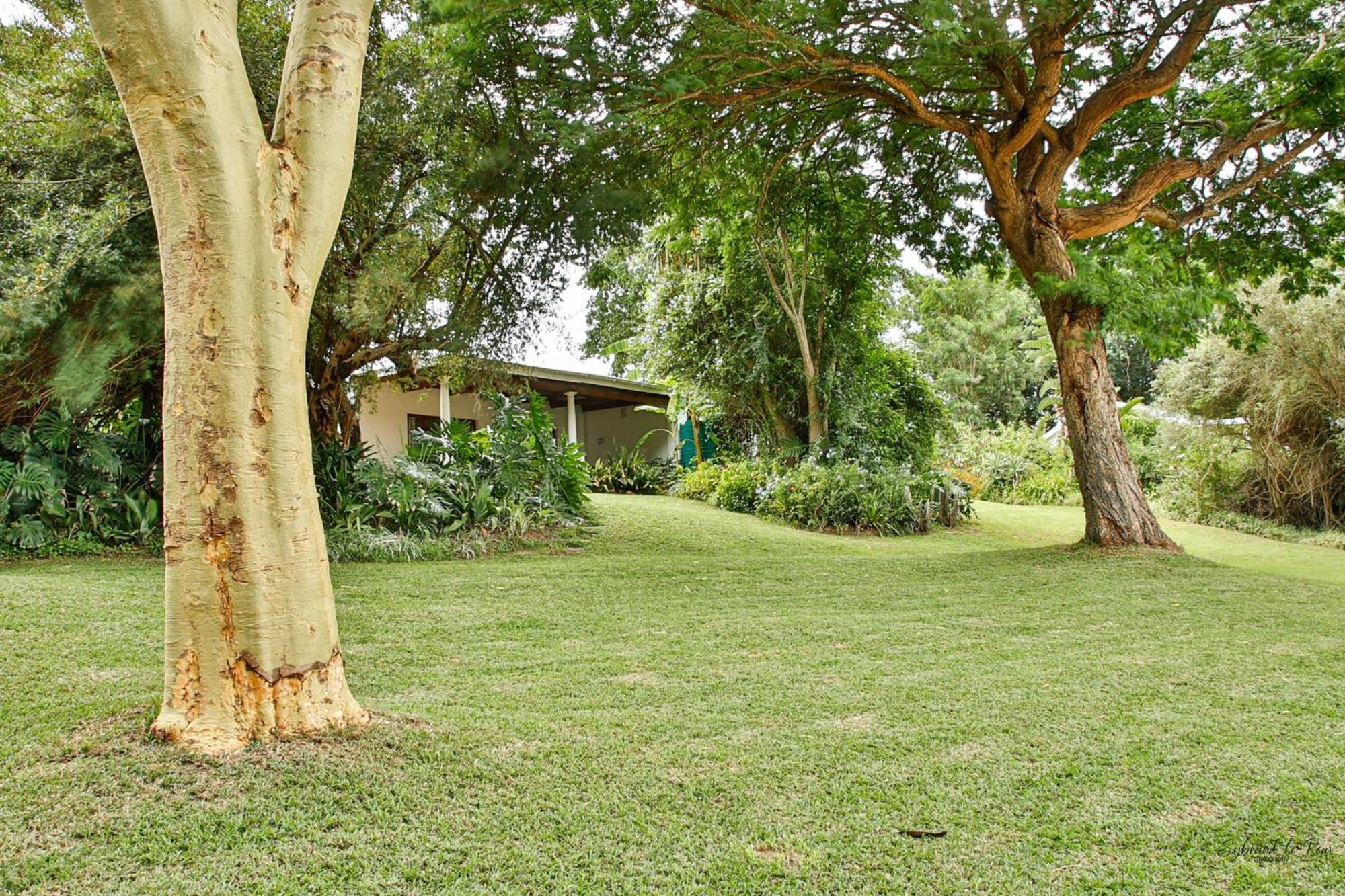 Ndlovu Addo River Lodge Kirkwood Экстерьер фото